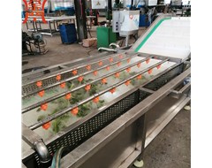  葉菜類蔬菜清洗機(jī)操作步驟