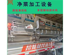 預(yù)制菜加工設(shè)備渦流清洗機(jī)震動(dòng)瀝水機(jī)發(fā)貨
