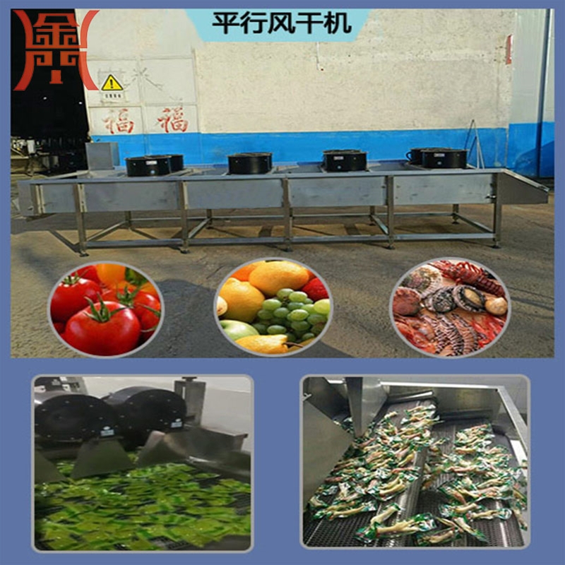 翻轉(zhuǎn)式調(diào)料包風(fēng)干機(jī) 全自動(dòng)豆干風(fēng)干機(jī) ，網(wǎng)帶式魔芋豆腐腐竹風(fēng)干機(jī)