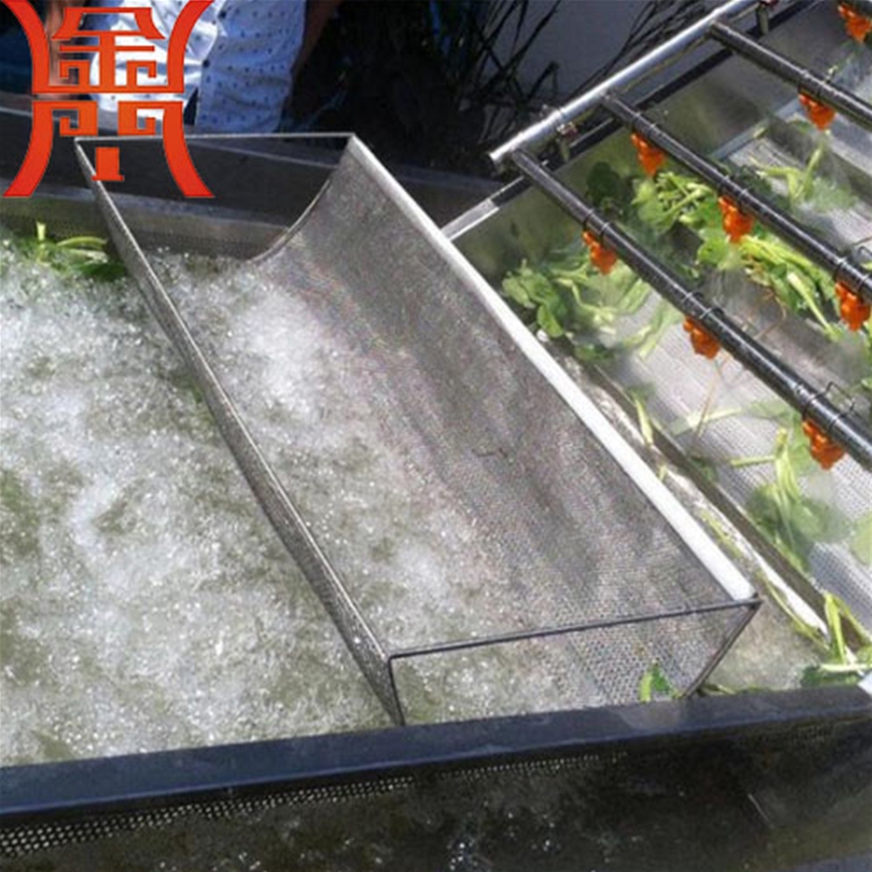 山野菜清洗機(jī)