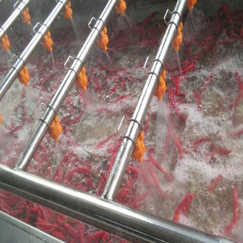朝天椒辣椒清洗機(jī)