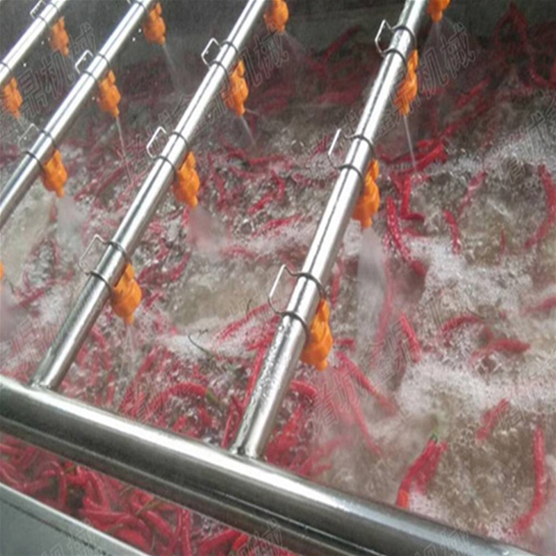 朝天椒辣椒清洗機(jī)