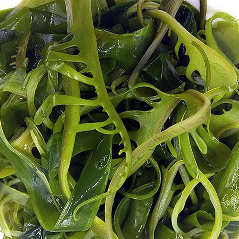 裙帶菜生產(chǎn)線(xiàn)