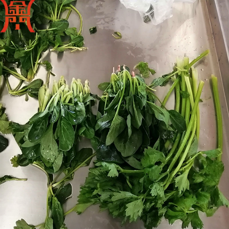 芹菜清洗機(jī) 葉莖類(lèi)蔬菜清洗專(zhuān)用