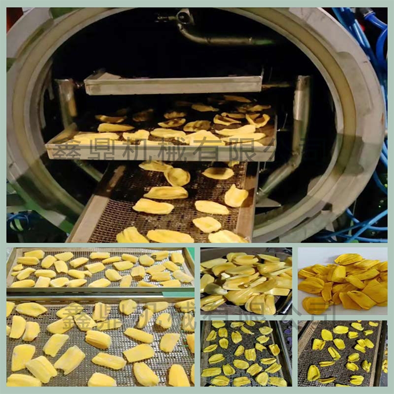 非油炸果樹干制品加工設備加工定制