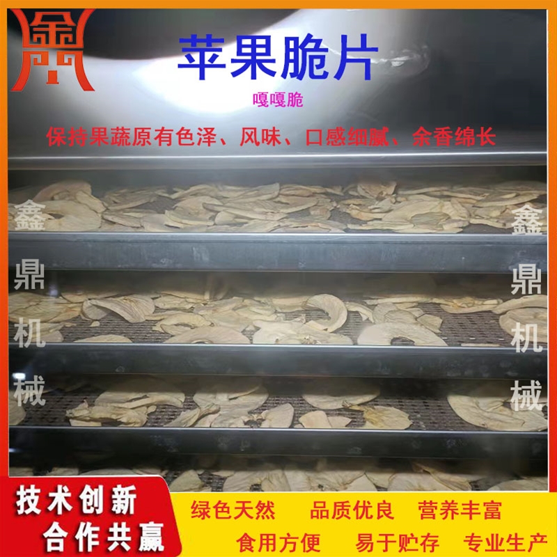 非油炸蘋(píng)果脆片加工機(jī)器值得信賴