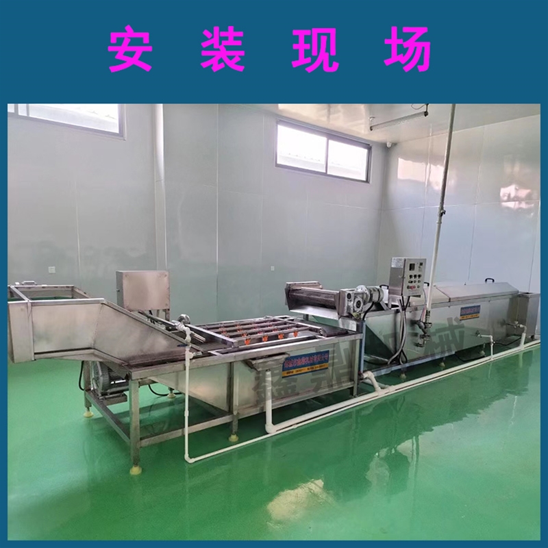 葉菜類凈菜加工全套設備