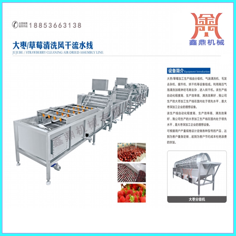 大棗/草莓清洗風(fēng)干流水線