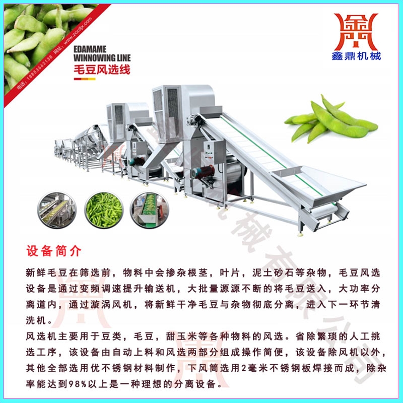 毛豆風選清洗深加工設(shè)備生產(chǎn)廠家